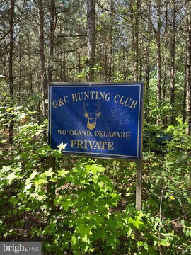 Seaford Land with Natural Beauty