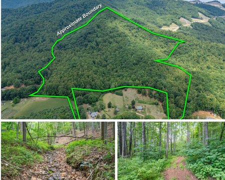 Hunting Land with Mountain Views