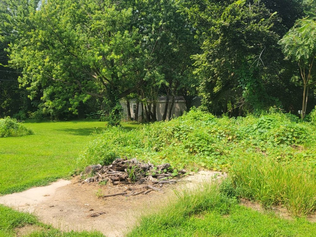 Picture 4