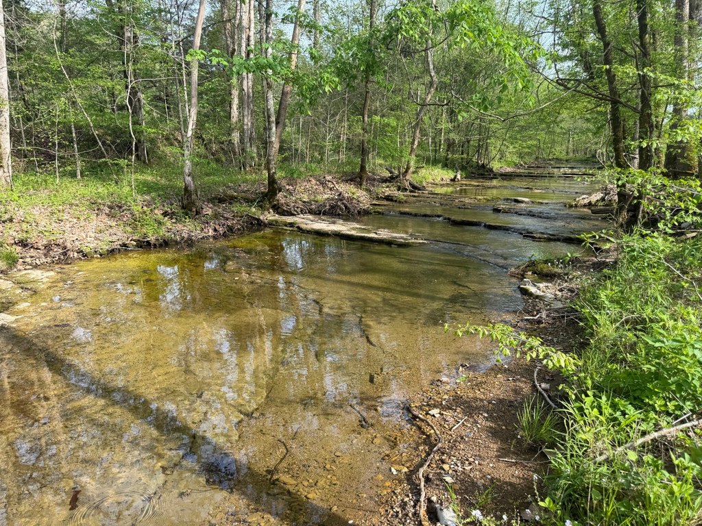Picture 13