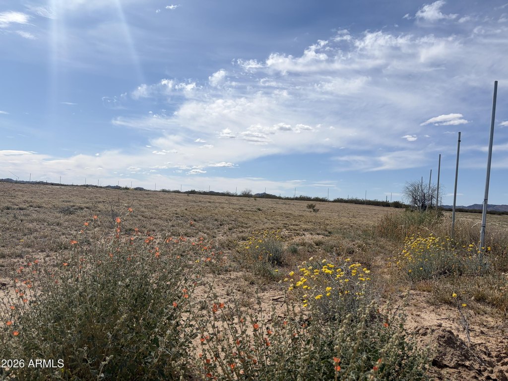 Picture 5