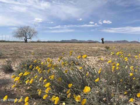 Land, Salome, AZ