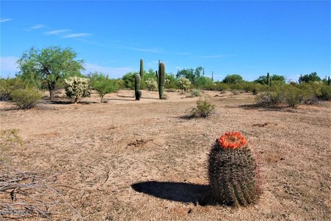 40 Acres of Arizona Land