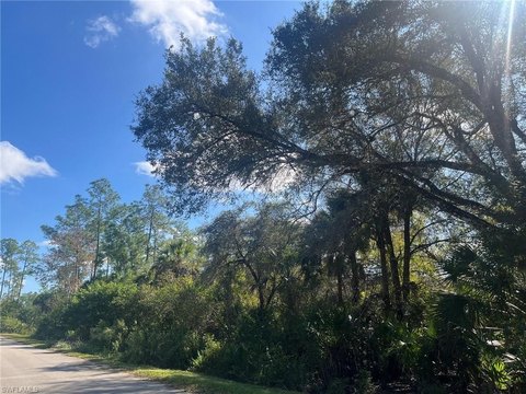 Naples Land Parcel For Sale