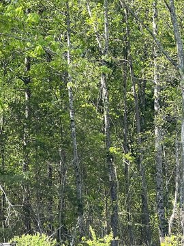 Inman SC Buildable Lot