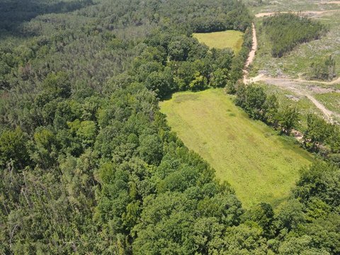 LAND - PARIS, MS