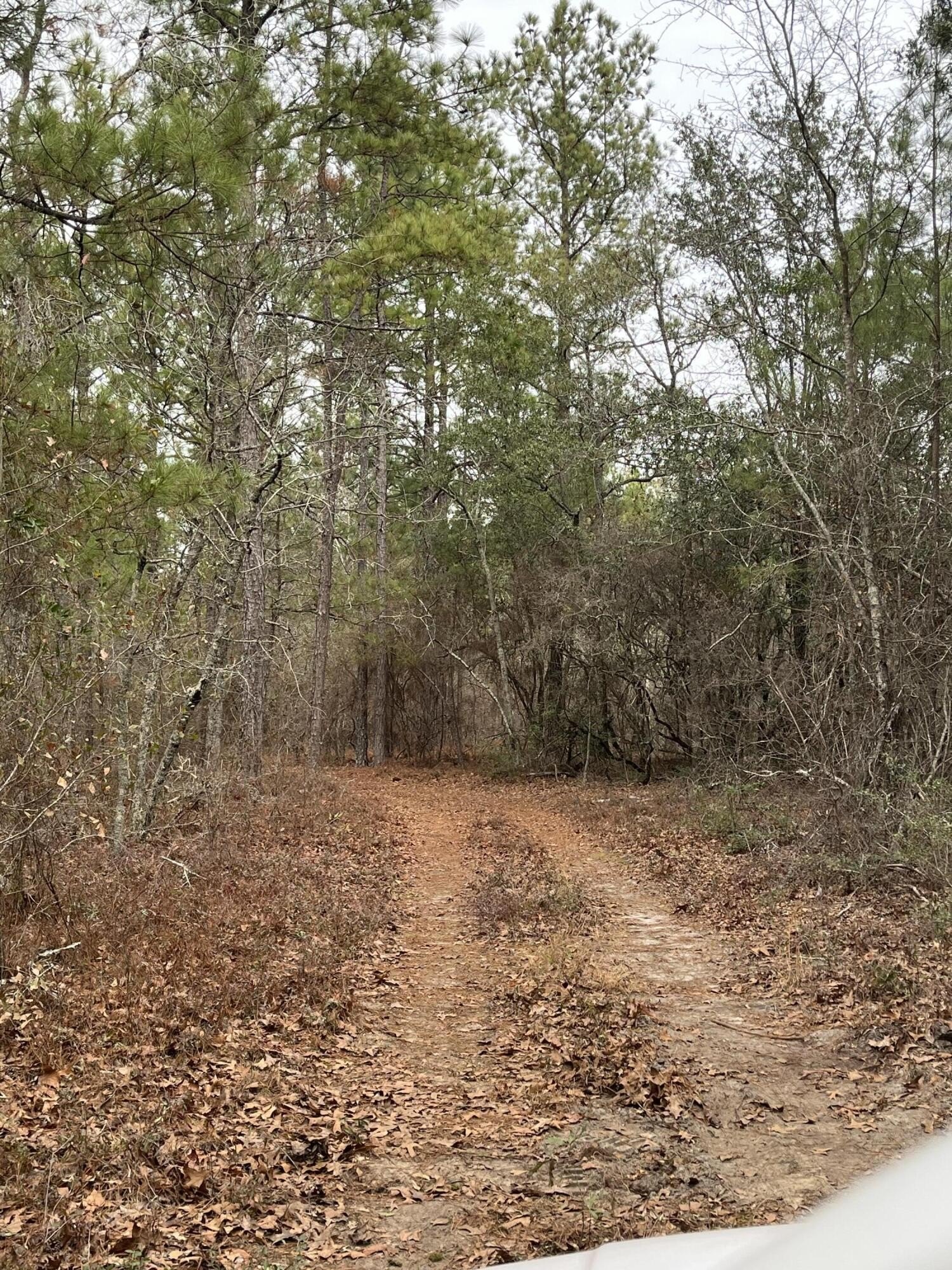 Aiken Homesite Near I-20