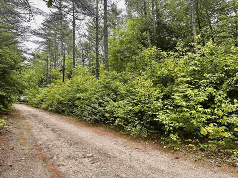 Bartlett Land Near Skiing