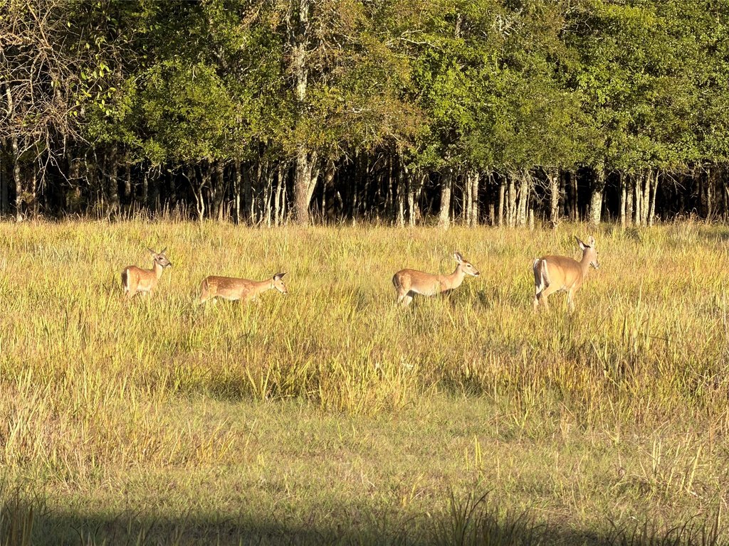 Picture 20