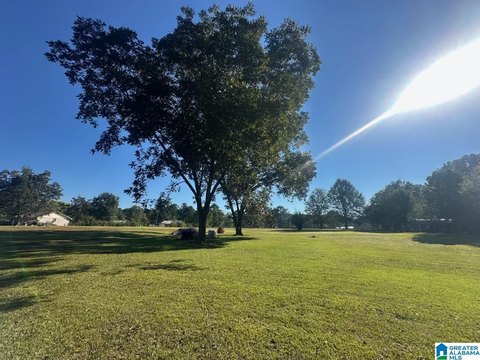 LAND/LOTS, BESSEMER, AL