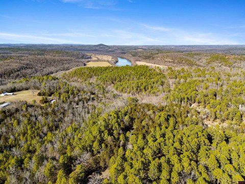 Unrestricted Land Bordering National Forest