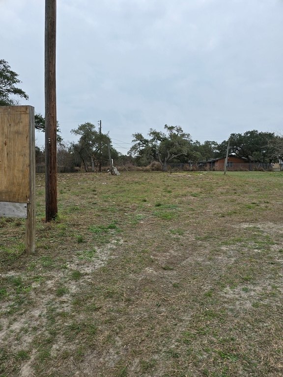Picture 3