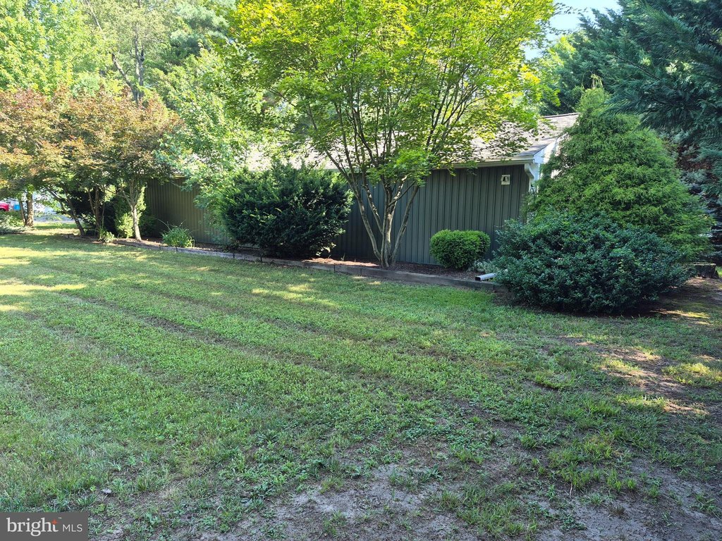 Picture 14