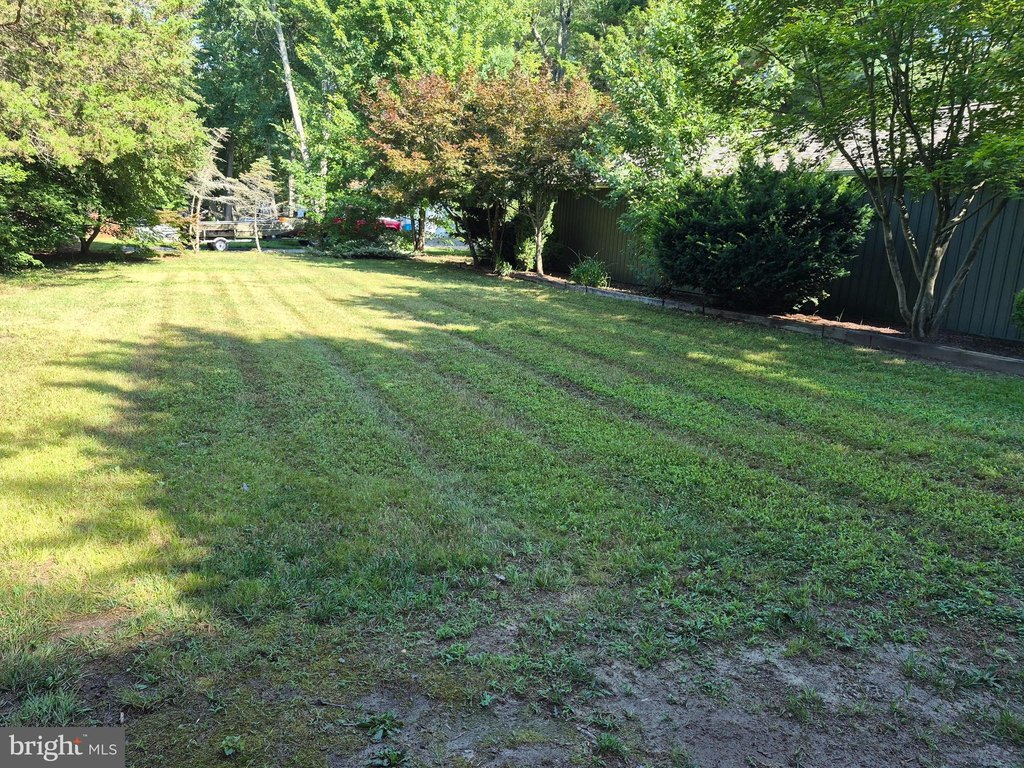 Picture 13