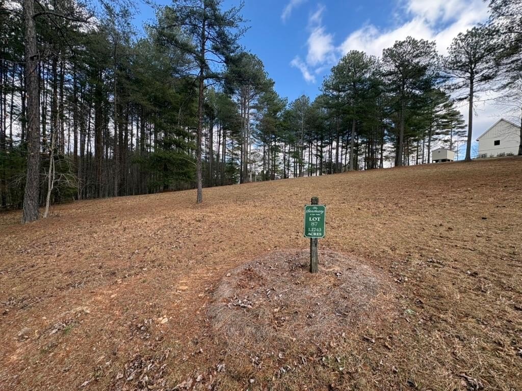 Residential Lot in Gated Community