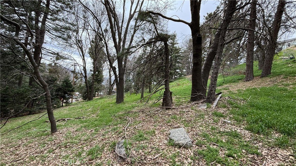 Picture 6