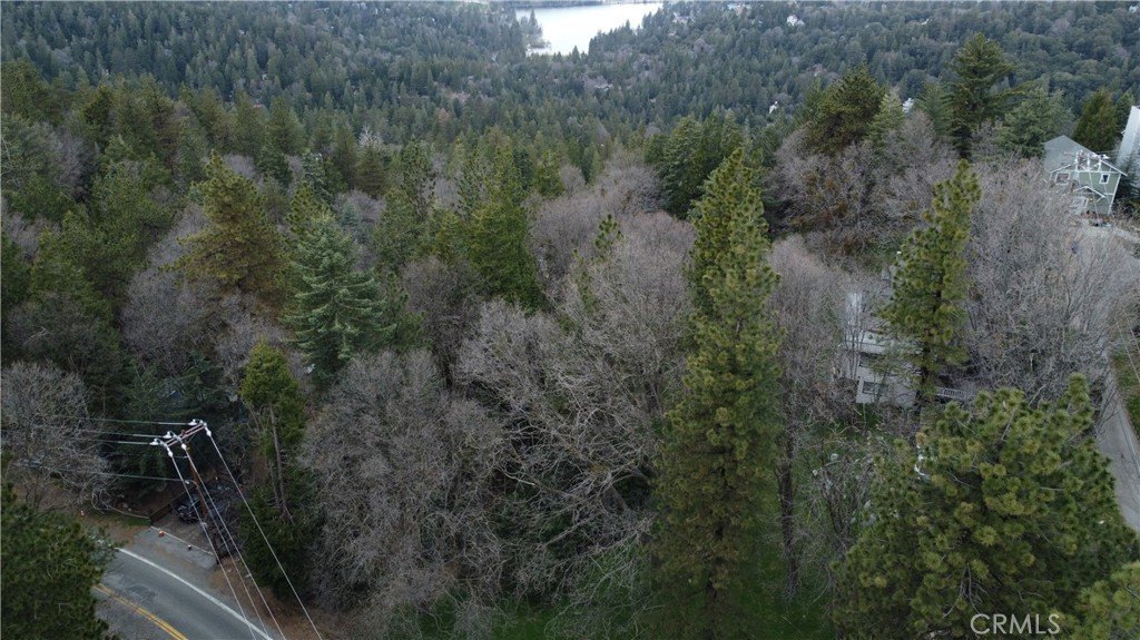 Picture 13