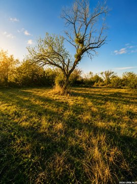 LAND - San Antonio, TX