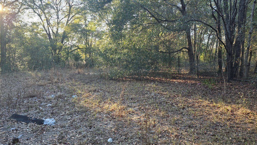 Picture 7