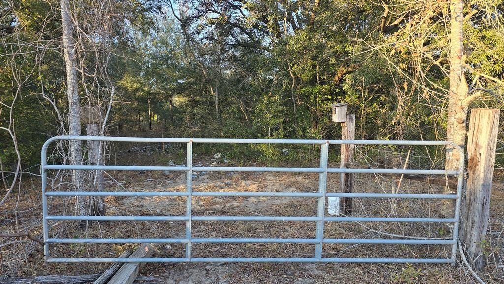 Vacant Lot in Trenton, FL