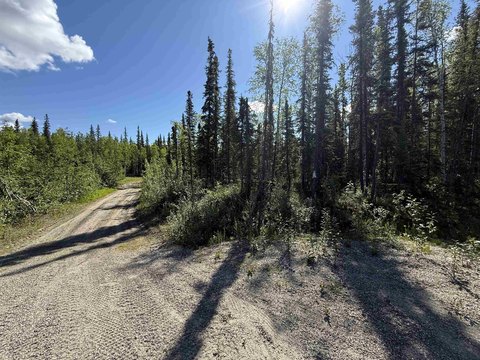 LAND, North Pole, AK