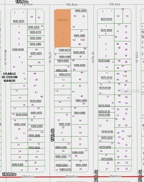 Land in Growing Interlachen Community