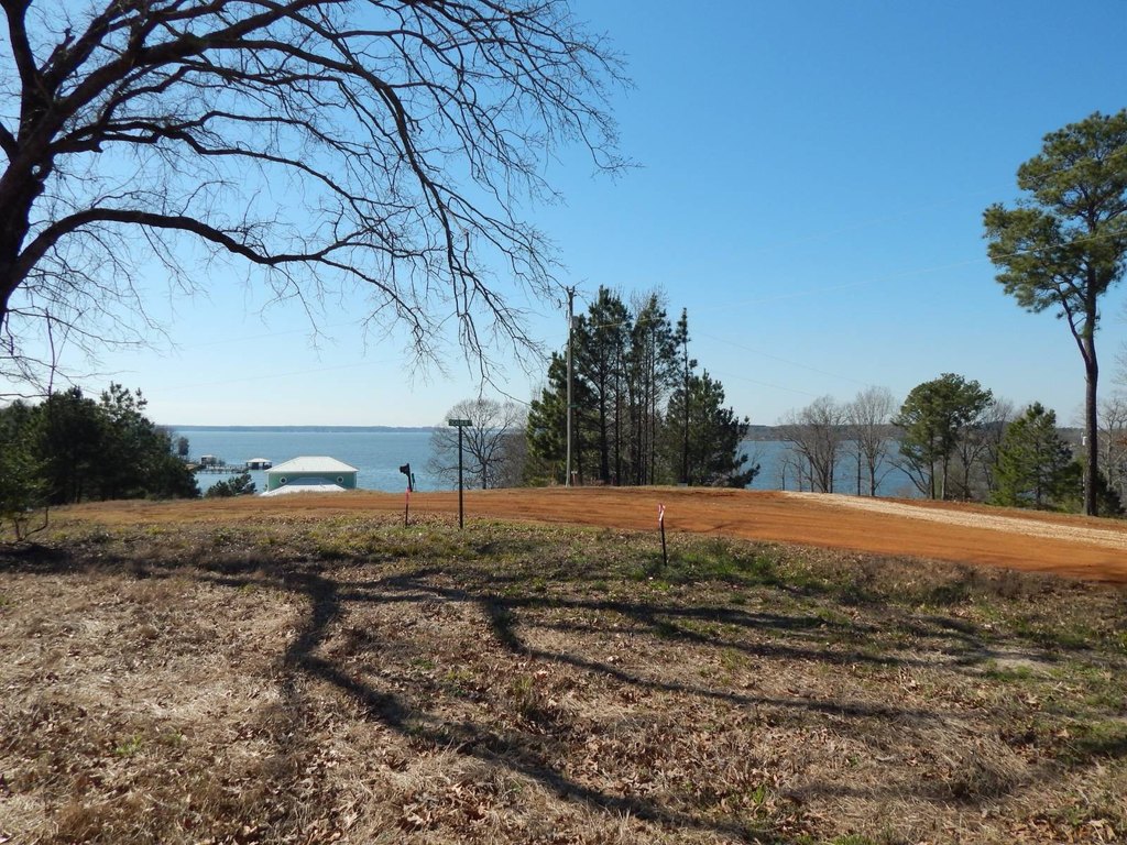 Picture 5