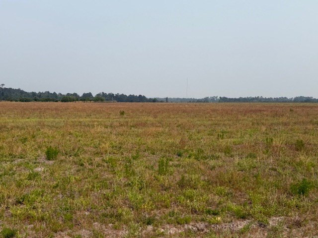 Picture 10