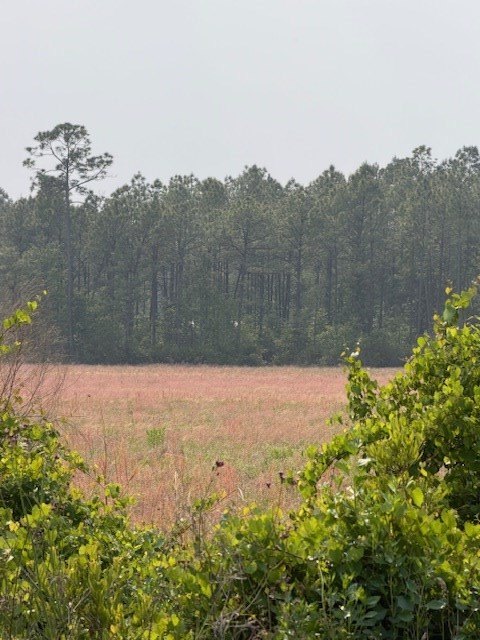 Picture 13