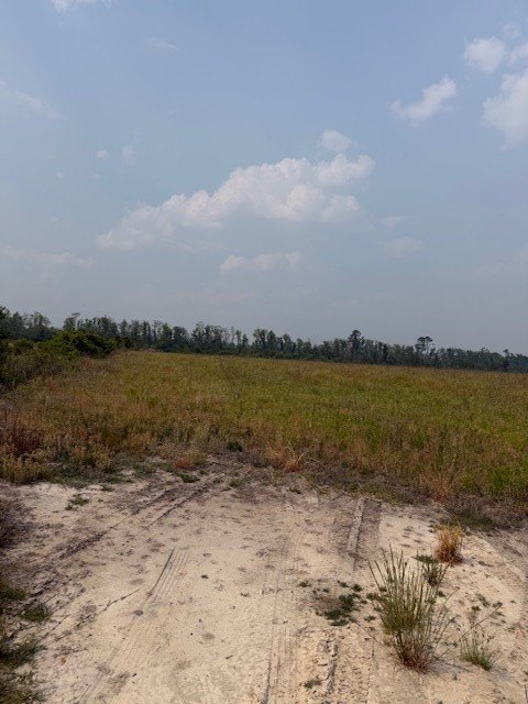 Picture 16