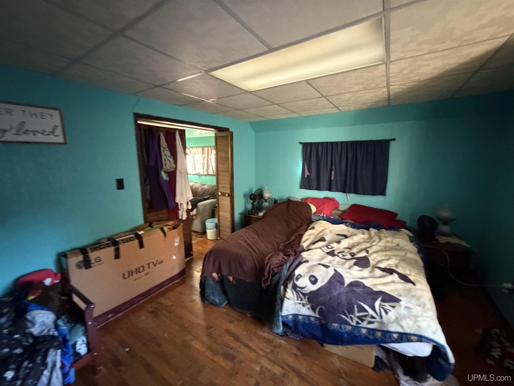 Picture 24