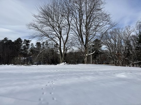 Blue Star Highway Frontage Opportunity