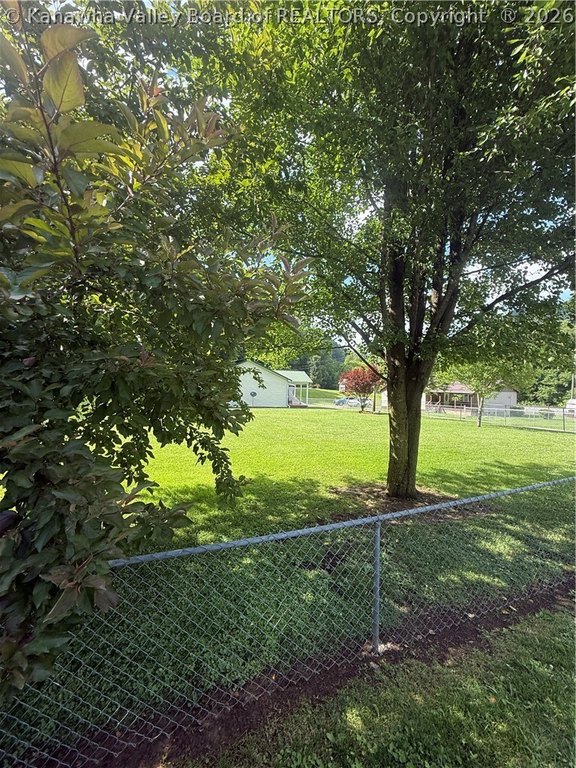 Picture 11