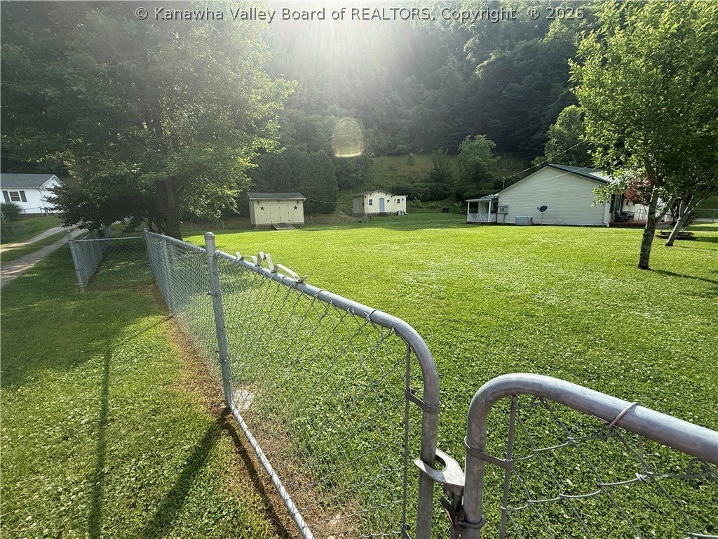 Picture 20