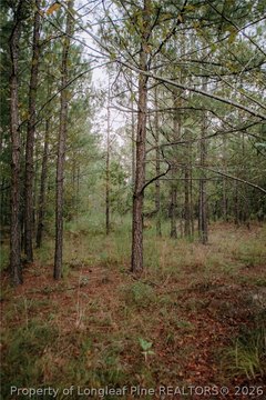 Land, Aberdeen, NC