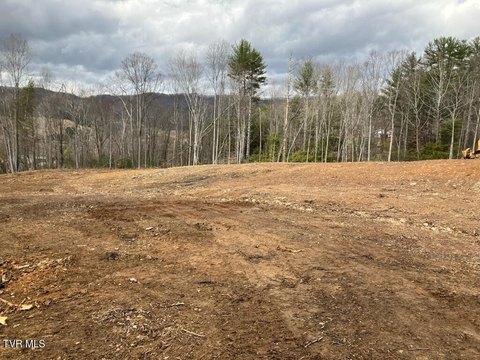 Cleared Land in Mountain City