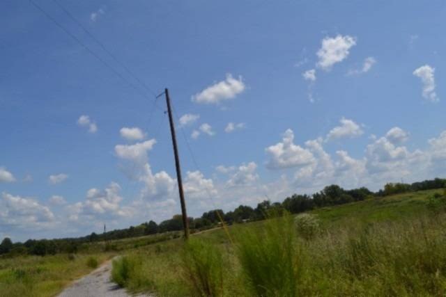 Picture 16