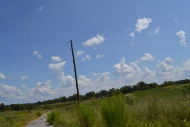 Picture 15