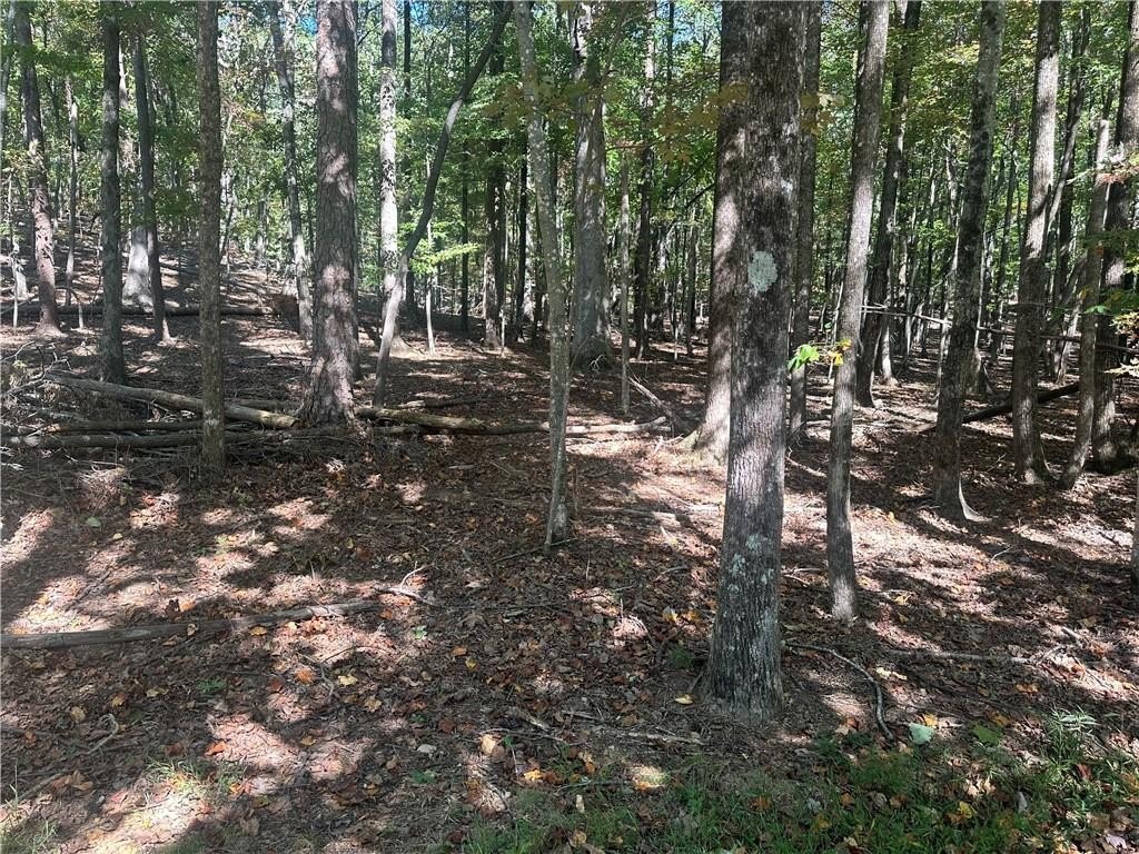 Buildable Lot in Gated Community