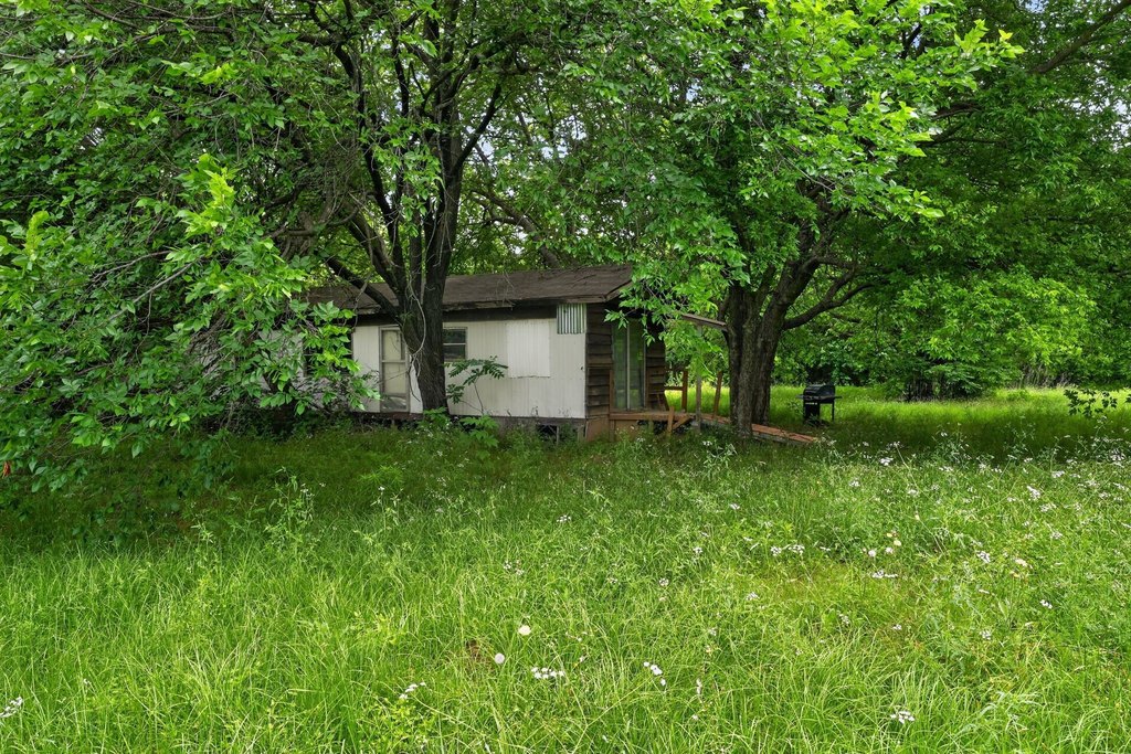 Picture 27