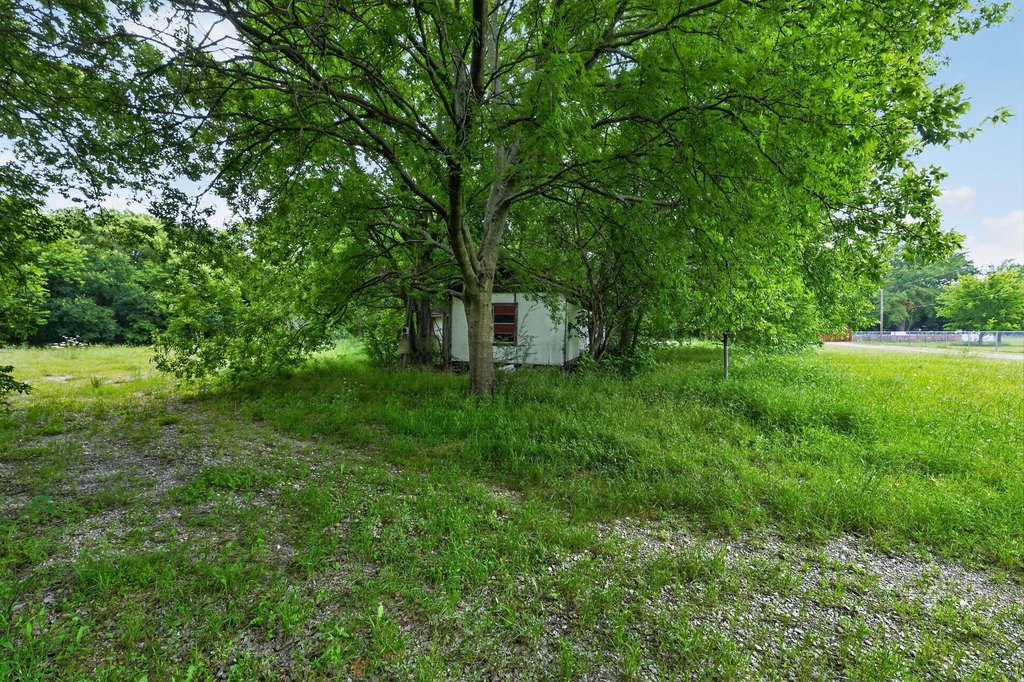 Picture 25