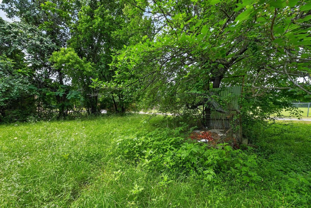 Picture 22