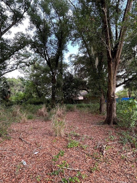 Picture 3