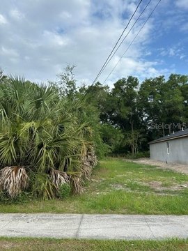 Land - EUSTIS, FL