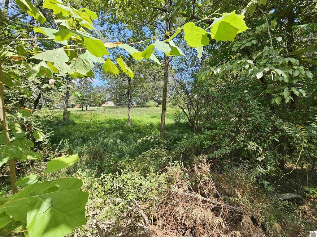 Picture 25