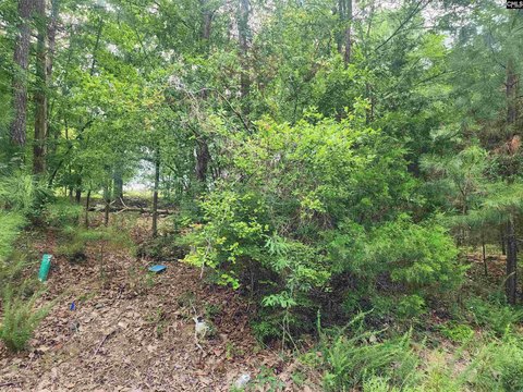 Residential Land in Forest Ridge