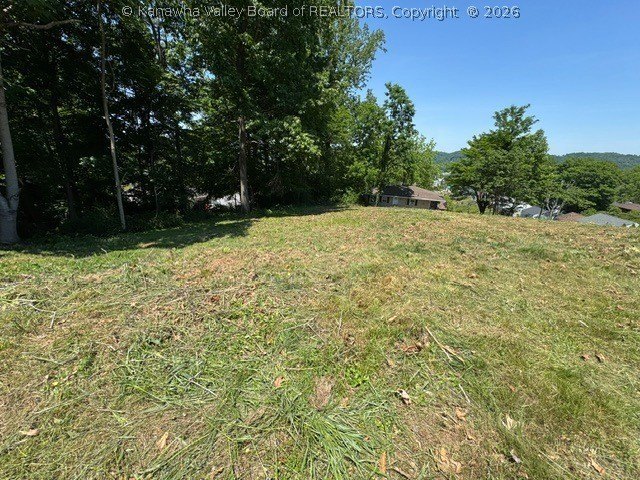 Picture 10
