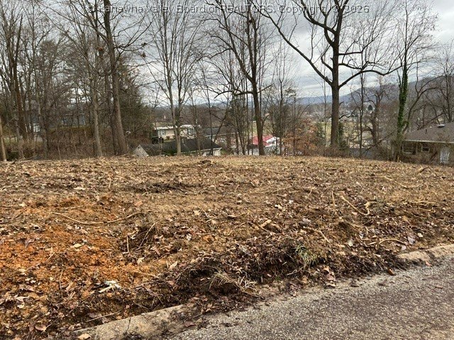 Picture 6
