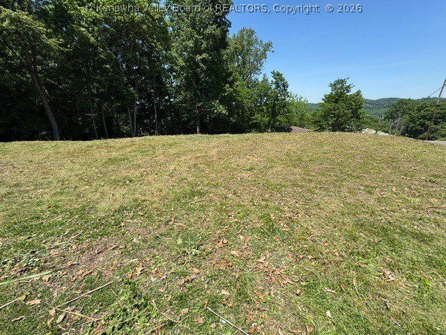 Picture 13