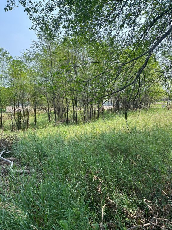 Picture 7